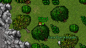 Zikej on screen