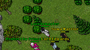 Luccasmaster on screen