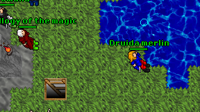 Druida merlin on screen