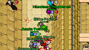 Elite Pajek on screen