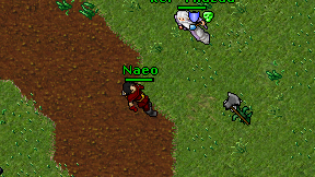 Naeo on screen