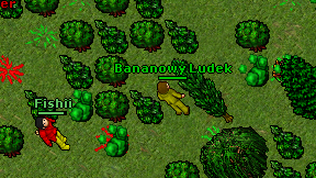 Bananowy Ludek on screen