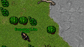 Eupolas Lila on screen
