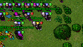 Rikser on screen