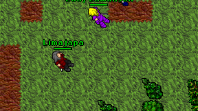 Limajapa on screen
