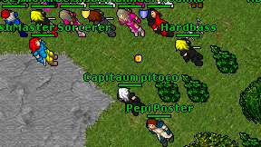 Capitaum pitoco on screen