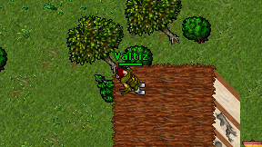 Valtiz on screen