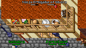 Ninja Dragon on screen
