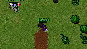 Hecca on screen