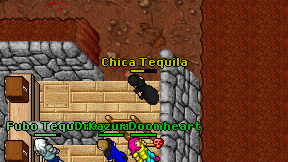Chica Tequila on screen