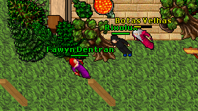 Fawyn Dentran on screen