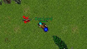 Kay Lord on screen