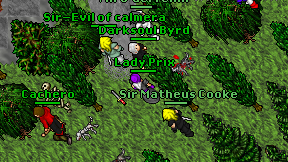 Lady Prix on screen