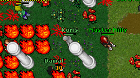 Koris on screen