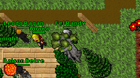 Fel Randy on screen