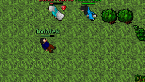 Imiolek on screen
