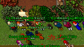 Tedan on screen