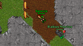 Spocis on screen
