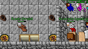 Rads Druid on screen