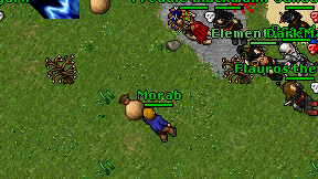 Morab on screen