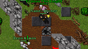 Nane-Archer on screen