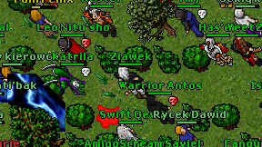 Ziawek on screen