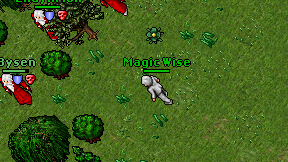 Magic Wise on screen
