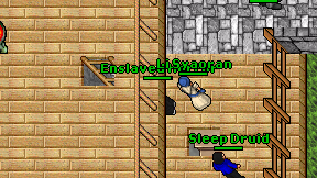 Enslaved Horror on screen