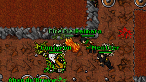 Palmaro on screen