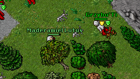 Maderamiel Lutus on screen