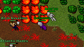 Gelonino on screen