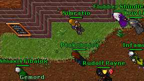 Ptakobojca on screen