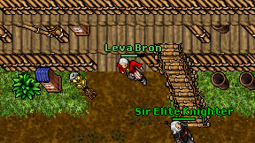 Leva Bron on screen
