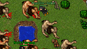 Marlin-loko on screen