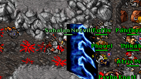 Sahalan Netville on screen