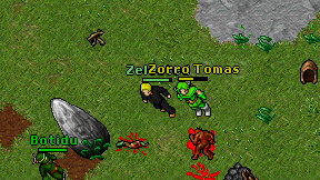 Zorro Tomas on screen