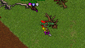 Pro'sim on screen
