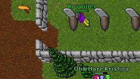Krawiller on screen