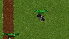 Kweldurf on screen