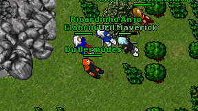 Du Bermudes on screen