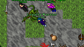 Loyalty Warrior on screen