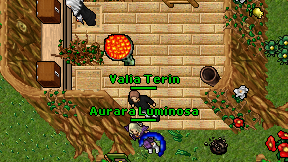 Valia Terin on screen