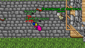 Tari Dragon on screen