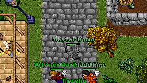 Master Domo on screen
