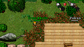 Iron Akrin on screen