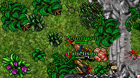 Leonciozin on screen