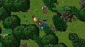 Braavo on screen