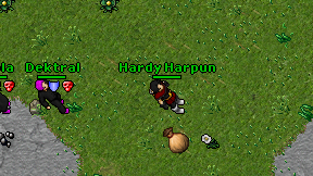 Hardy Harpun on screen