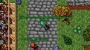 Emersonsls Sword Mester on screen
