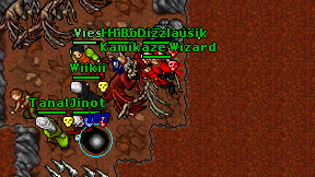 Kamikaze Wizard on screen